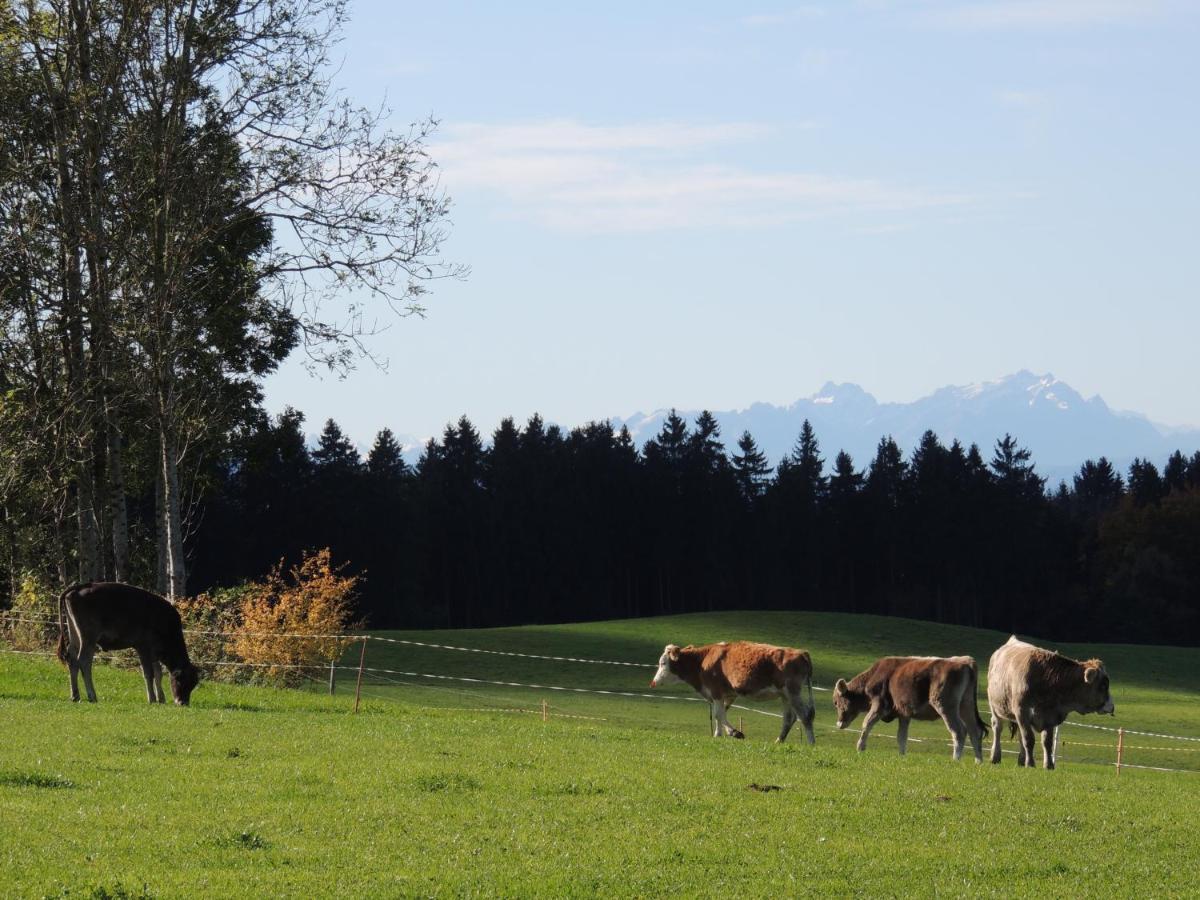 Ferienwohnung Butscher Isny im Allgäu Exteriör bild
